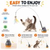Rotating Base Cat Teaser Wand for Indoor Play – Long
