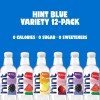 Hint Fruit-Infused Bottled Water Sugar-Free Pack of 12