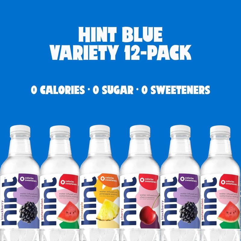 Hint Fruit-Infused Bottled Water Sugar-Free Pack of 12