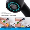 Matte Black Kitchen Faucet with Pull Out Sprayer, Small Single