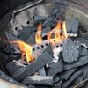 Stainless Steel Charcoal Basket Combo for Large Big Green Egg,