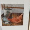 Unbranded Chicken Water Heater Winter 15IN 125W Heated Chicken Waterer