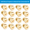 Catilon Natural Gas Orifices Nozzle Conversion Kit, Propane to Natural