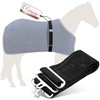 Esposita Elastic Blanket Strap Horse Elastic Blanket Strap Elastic Black