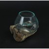 Things2Die4 Blown Molten Glass On Teak Driftwood Decorative Bowl/Mini Terrarium