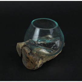 Things2Die4 Blown Molten Glass On Teak Driftwood Decorative Bowl/Mini Terrarium