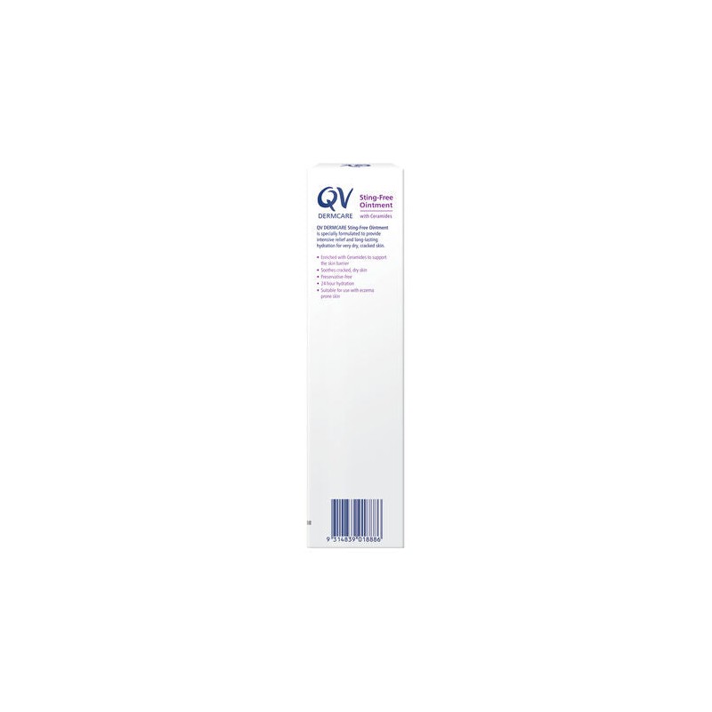 QV Ego QV Dermcare Sting-Free Ointment 100g