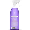 1 X All Purpose Natural Surface Cleaner - 28 fl