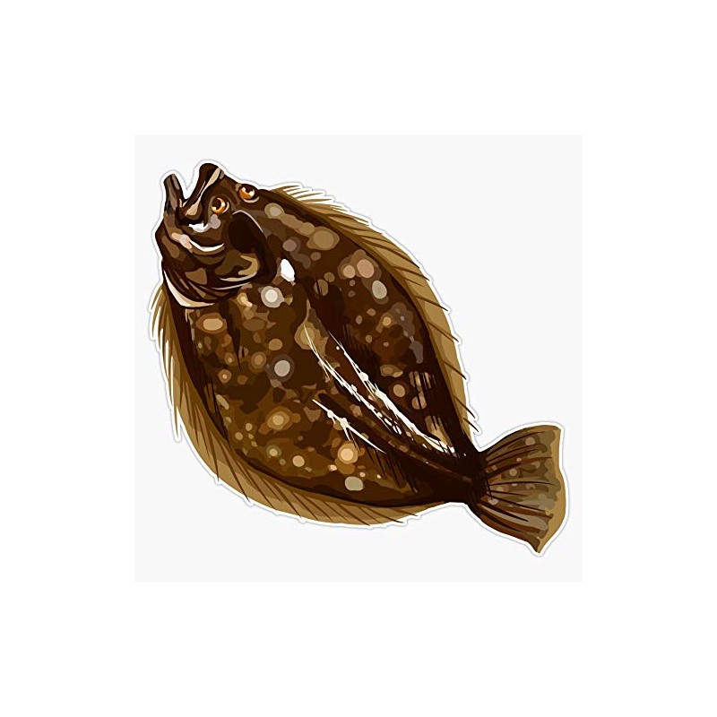 Flounder | Fluke Vinyl Decal Bumper Sticker 5"
