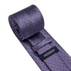 HISDERN Mens Ties Purple Tie and Pocket Square Dark Purple