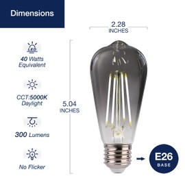 FLSNT LED Edison Bulbs, 5000K White Light Dimmable ST19 LED Light Bulbs, E26 Base,4W(40W Equivalent), CRI82+, 150LM, 12 Pack, Smoky Grey Glass