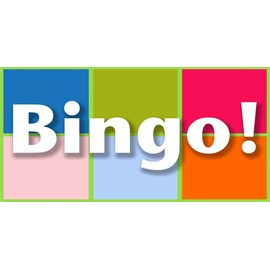 Bingo! Photo License Plate