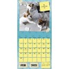 Guilty Dog Calendar