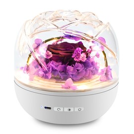 QUELIEN Mothers Day Flowers Gifts for Mom,Birthday Gifts for Women,Preserved Rose with Led Light for Christmas Valentine's Day Anniversary Birthday Mother's Day Wedding (Purple)