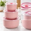 3-Piece Wheat Straw Food Storage Bowl Set for Meals –