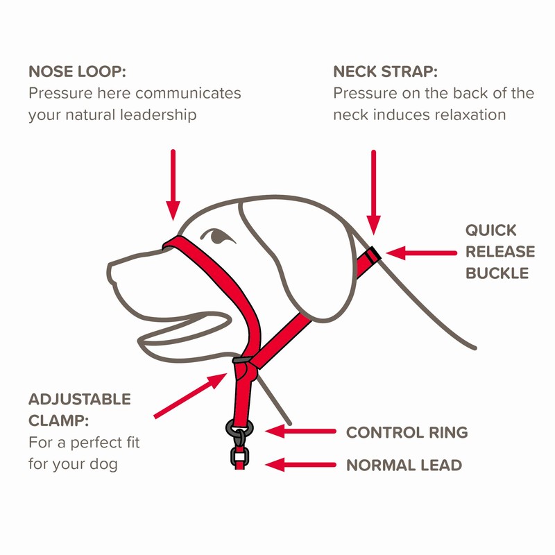 Beaphar | Gentle Leader | Head Collar for Large Dogs