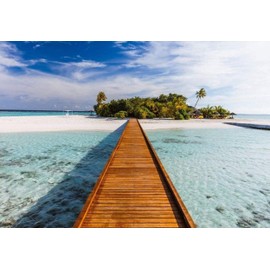 Ideal Decor Wine Glasses Wall Mural