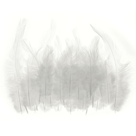 PATIKIL 3-6 Inch Saddle Hackle Rooster Feather, 100 Pcs Bulk Natural Feathers Fluffy Craft Feathers for Dream Catcher Earrings Pendant, White