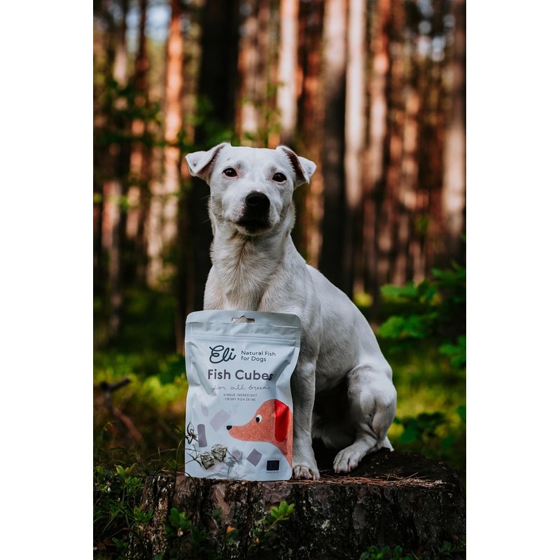 Eli Cod Skin Cubes - Naturals Premium Dog Treats, Fish