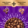 Wellness CORE+ Dry Dog Food with Freeze Dried Pieces, Wholesome