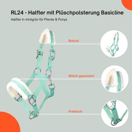 RL24 - Headcollar with Plush Padding Basicline | Halter for Horses & Ponies | Horse Halter with Rivet-Reinforced Clasps & Snap Hook for Opening | Horse Accessories in Light Green | Shetty