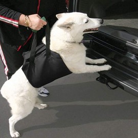 Portable Dog Sling Assist Belt Dog Lift Support Harness Vet Approved Breathable Pet Walking Aid Rehabilitation Harness for Elderly Injured Disabled Dogs Weak Legs for Standing Climbing on Stairs