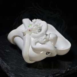 Dragon AirPods Case for AirPods pro2/pro & AirPods 3, Anti fall protection cover case decor gift for gym boy, white black pink