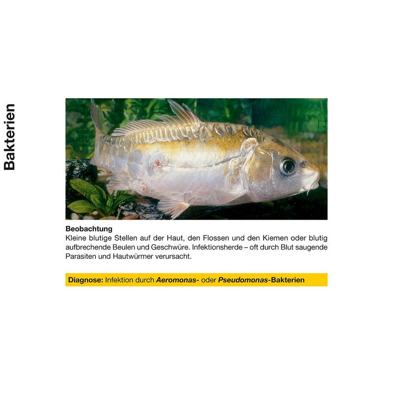 sera Cyprinopur Pond Water Conditioner, 250 ml