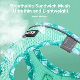 AMTOR Dog Harness with Leash Set,Upgrade No Pull Reflective Step-in Air All Weather Puppy Harness with Padded Vest for Small Dogs and Cats(Teal,Small)