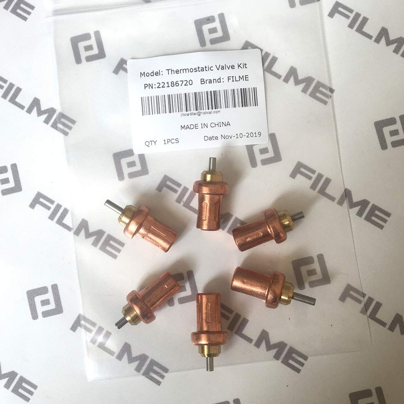 KAST 22186720 22463368 22831341 Thermostatic Valve Kit for Screw Air