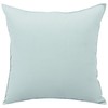 Betadistor Velvet Cushion Covers 18X18 Inch: 2 Pack Throw Pillow