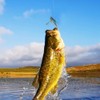 Fishing Lures, 3 Pieces Swimbaits with Barbed Hooks, Crank Baits