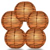 Quasimoon Paperlanternstore.com 5 Pack - 14 Inch Tiger Print Paper