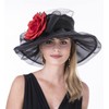 SAFERIN SAFERIN Women's Organza Church Kentucky Derby Hat Feather Veil