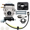 LIZAPUS 751-20089 Carburetor Compatible with MTD BP510 CMXGAAMR51BP 41AR51BP793, for