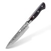 FINDKING 5 Inch Damascus Paring Knife, Multifunctional Small Kitchen Utility