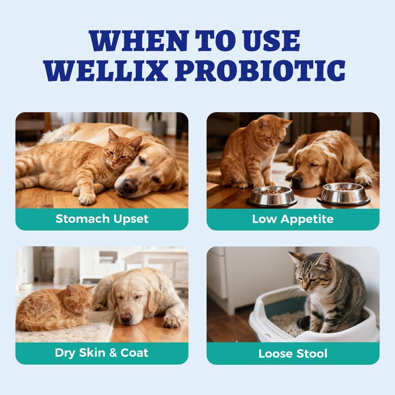 Wellix 120ml Liquid Probiotic for Cats & Dogs, Aiding Digestive