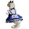 Puppe Looking Glass Alice Wonderland Dress Costume with Tea Cup