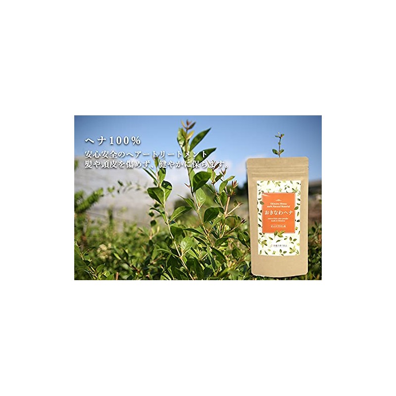 Kinawa Henna Ryukyu Hosuki Color (Henna 100%)