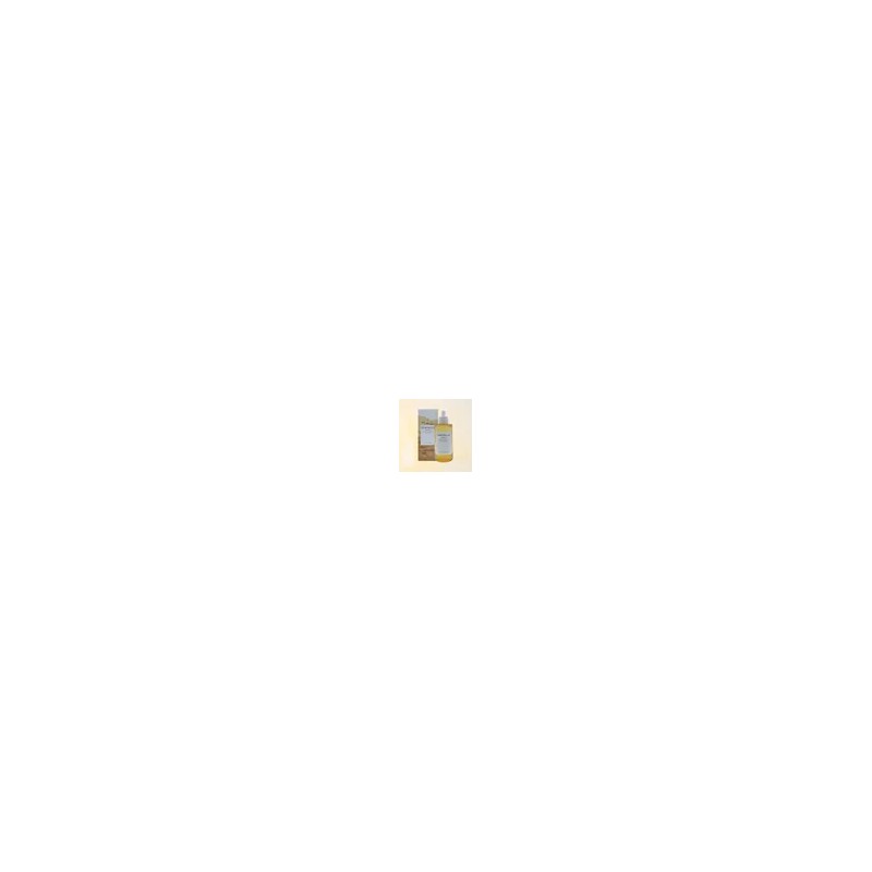 뷰티톤업 스킨1004 마다가스카르 센텔라 앰플 100ml Beauty Tone-Up Skin 1004
