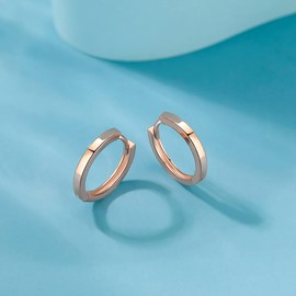 Sterling Silver Hoops Earrings for Women, Sterling Silver Post Small Silver Hoop Earrings, Rose Gold Plated 10mm HypoallergenicSleeper Cartilage Hoops Huggie Earrings for Women Girls