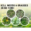 Liquid Harvest Vinegar Weed & Grass Killer - Gallon -