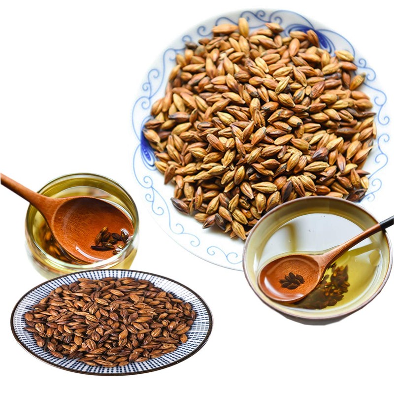 Natural Herbal Tea Barley Tea Mugicha Boricha Taste Cooking Bulk