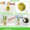 DIELOVEHUA Pack of 50 Rockwool Cubes, 2.5 x 2.5 x