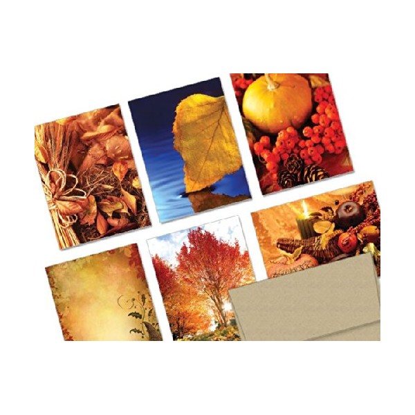 Note Card Cafe Thanksgiving Cards With Kraft Envelopes | 72 Pack | A Bountiful Thanksgiving Design Assortment | Blank Inside, Glossy Finish | For Holiday, Autumn, Fall