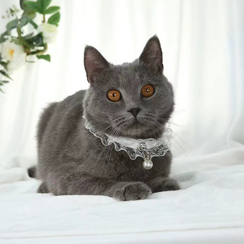 Coollooda Cat Collar, Cat Collar, Lace, White, PU Leather, Cute,