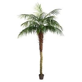 Vickerman Potted Pheonix Palm Artificial-Trees, 7', Green