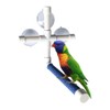 Litewood Bird Shower Perch Portable Suction Cup Parrot Window Wall
