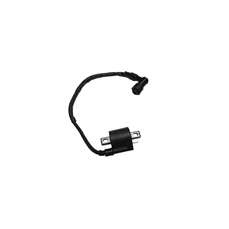 Ignition Coil Compatible with Yamaha ATV Big Bear 350 YFM350