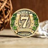 Lucky Charms Good Luck Charms Coin for Lottery Scratcher, Lucky